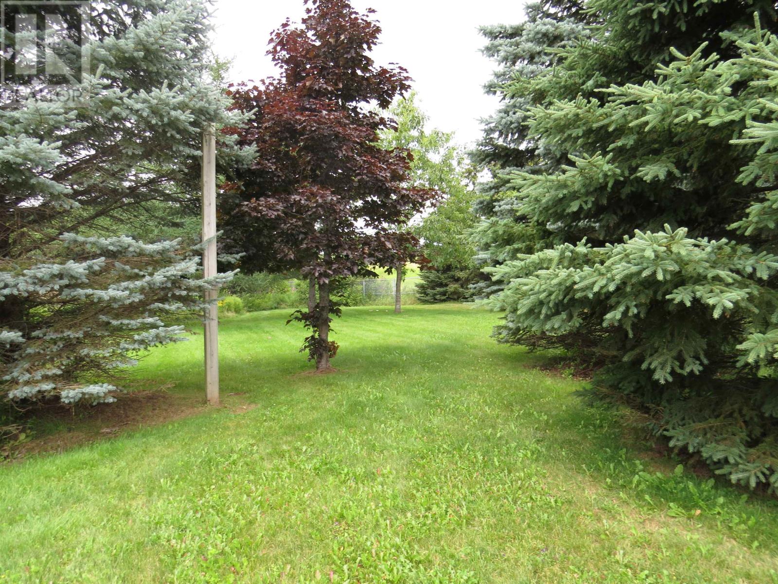 49 Massey Drive Property Photo 29