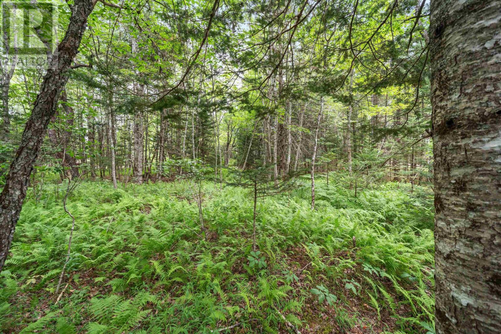 1536 Stewiacke Road Property Photo 37