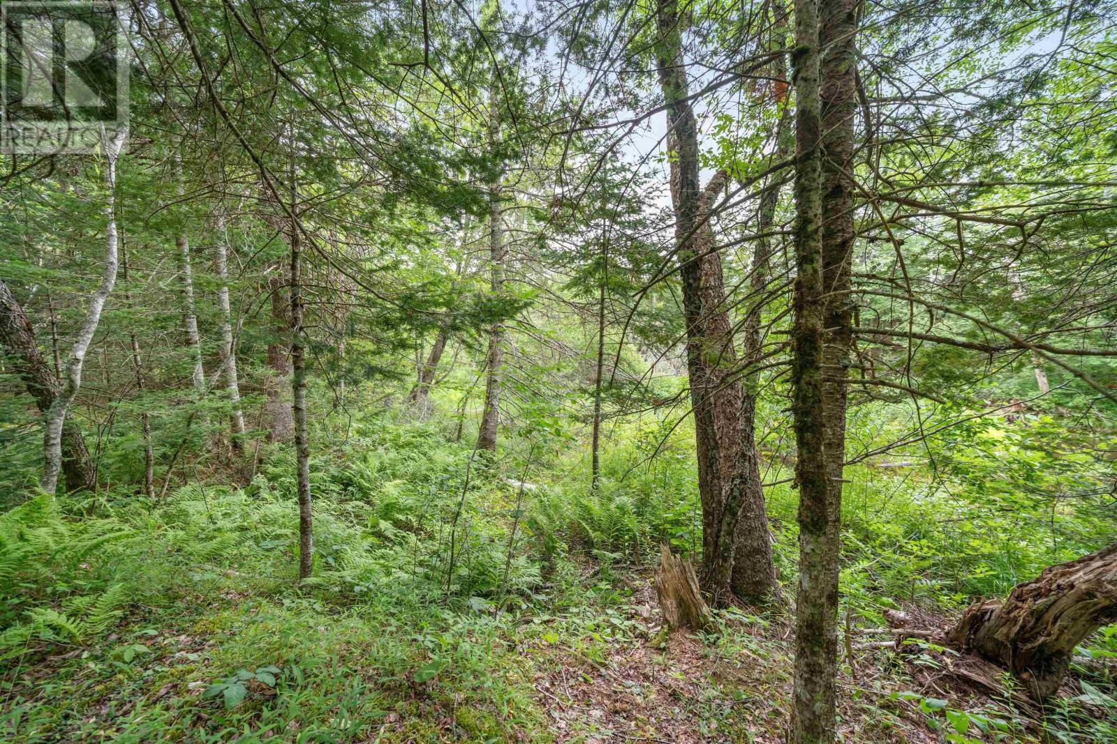 1536 Stewiacke Road Property Photo 38