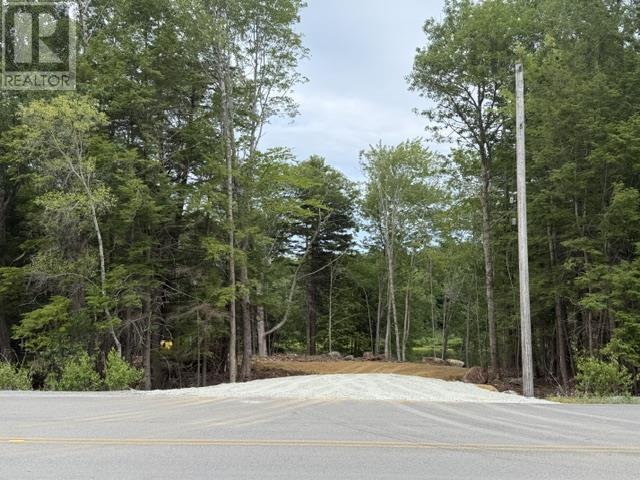 Lot 48 Lower Branch Road Property Photo 5