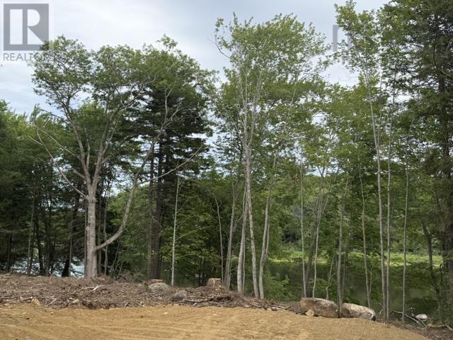 Lot 48 Lower Branch Road Property Photo 6
