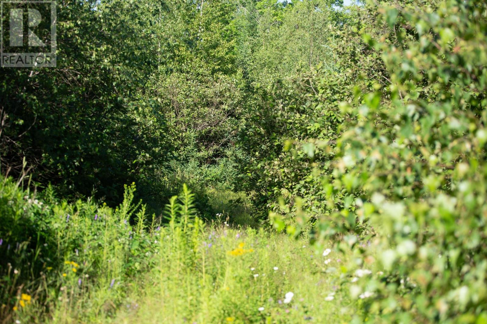 Acreage Campbell Road Property Photo 2