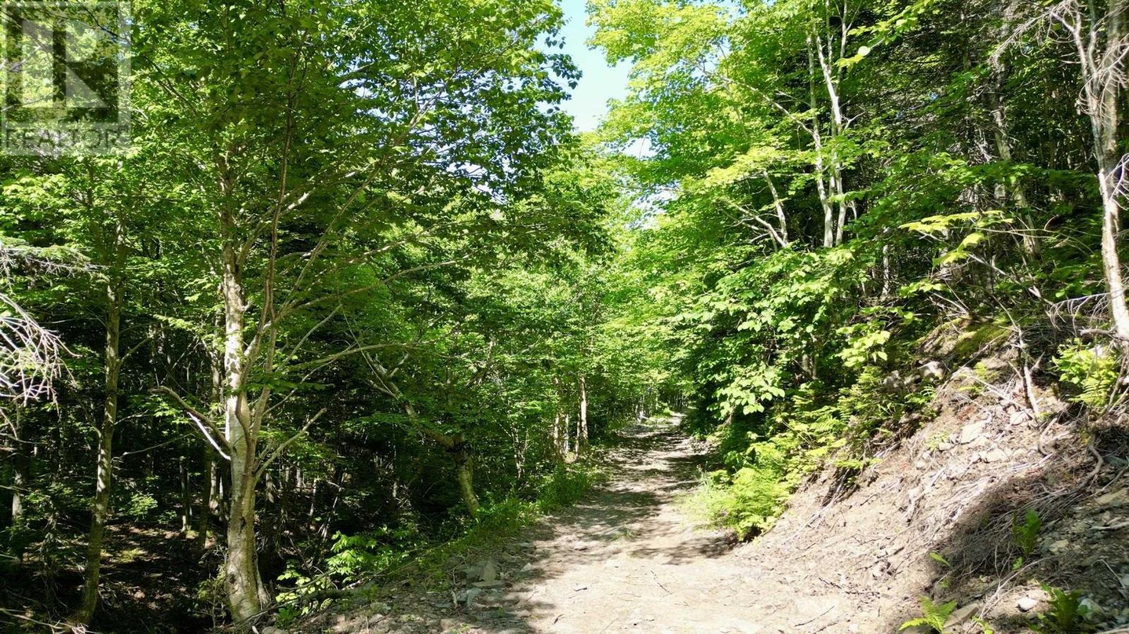 Meat Cove Road Property Photo 4
