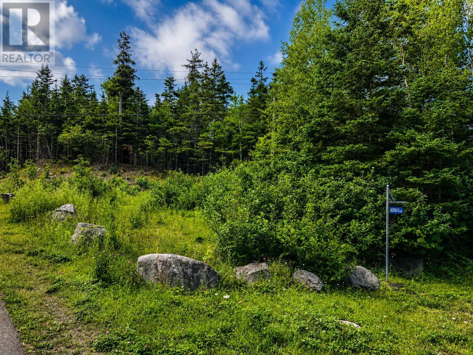 Lot 4 Highway 104 Property Photo 2