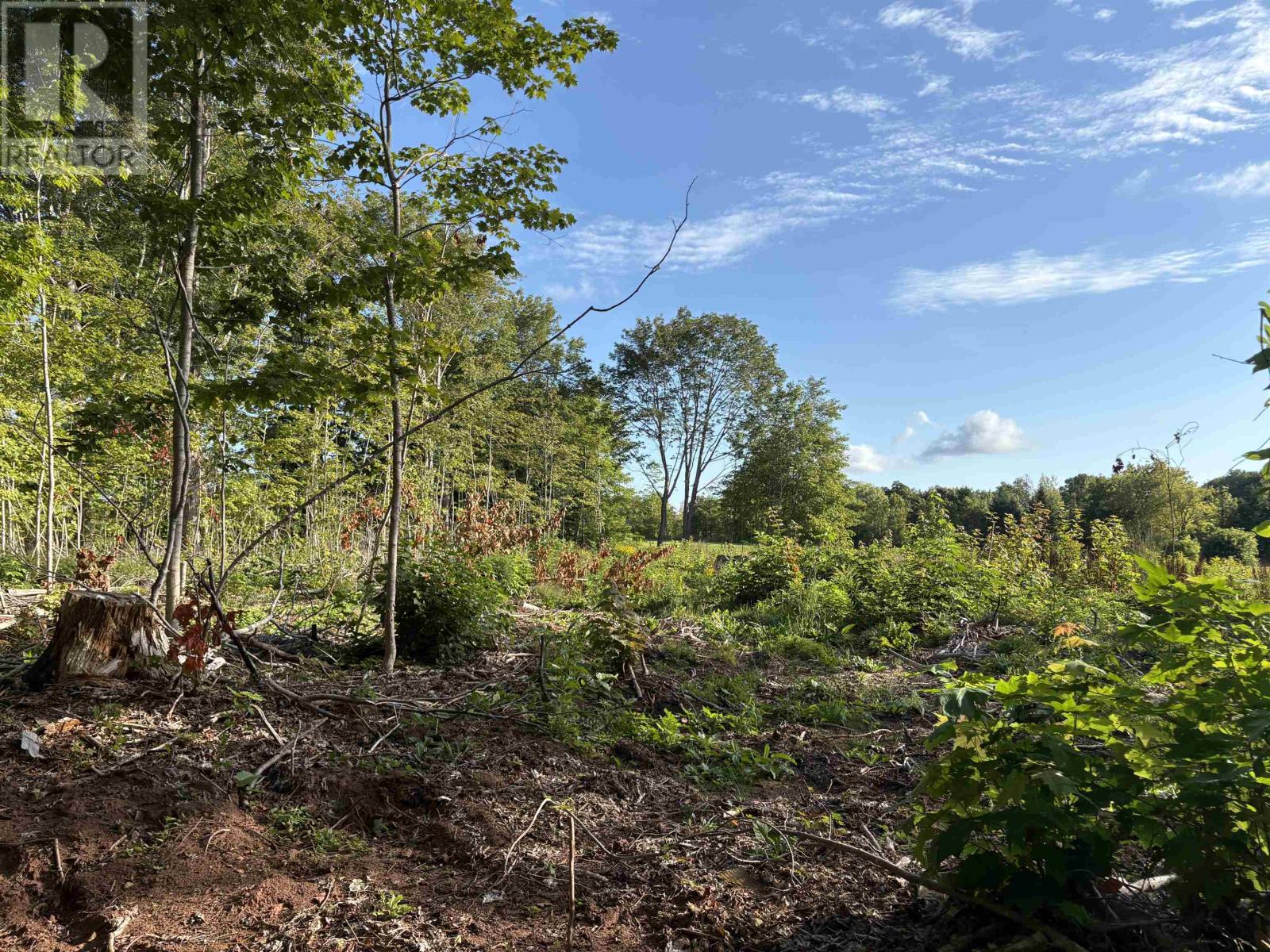 Lot 24-1 Lorabelle Court Property Photo 1