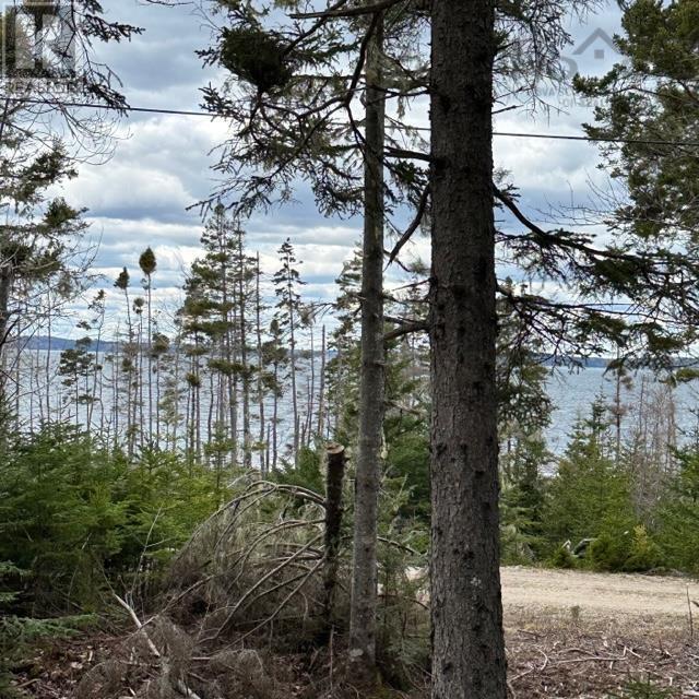 Lot 8 Fire Cove Road Property Photo 8
