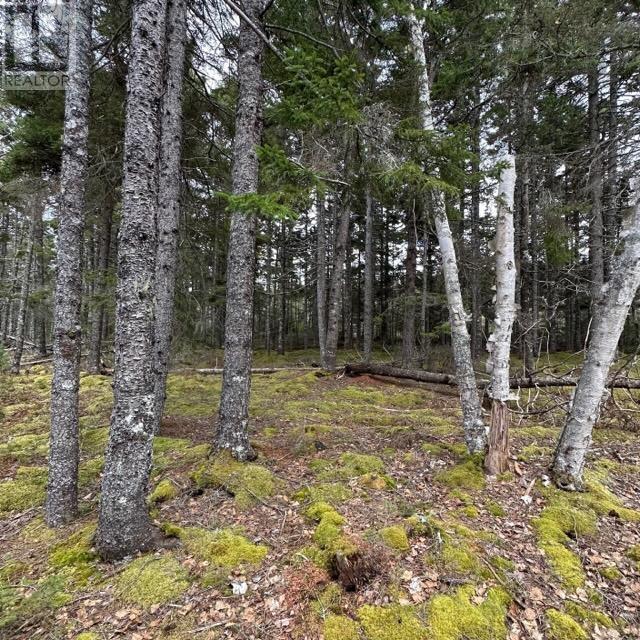 Lot 8 Fire Cove Road Property Photo 9
