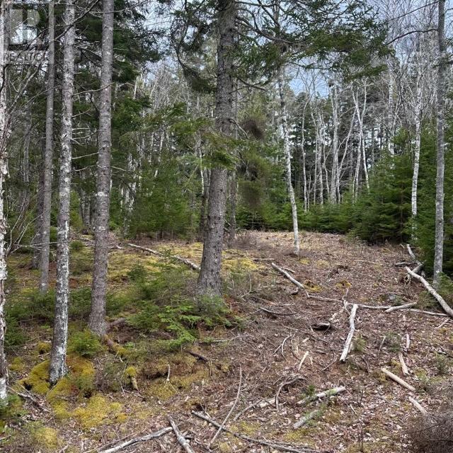 Lot 8 Fire Cove Road Property Photo 10