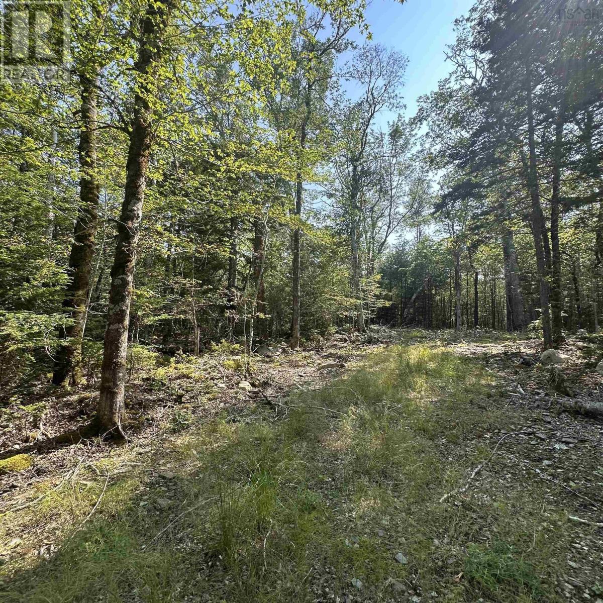 Lot 49 Island View Terrace Property Photo 1