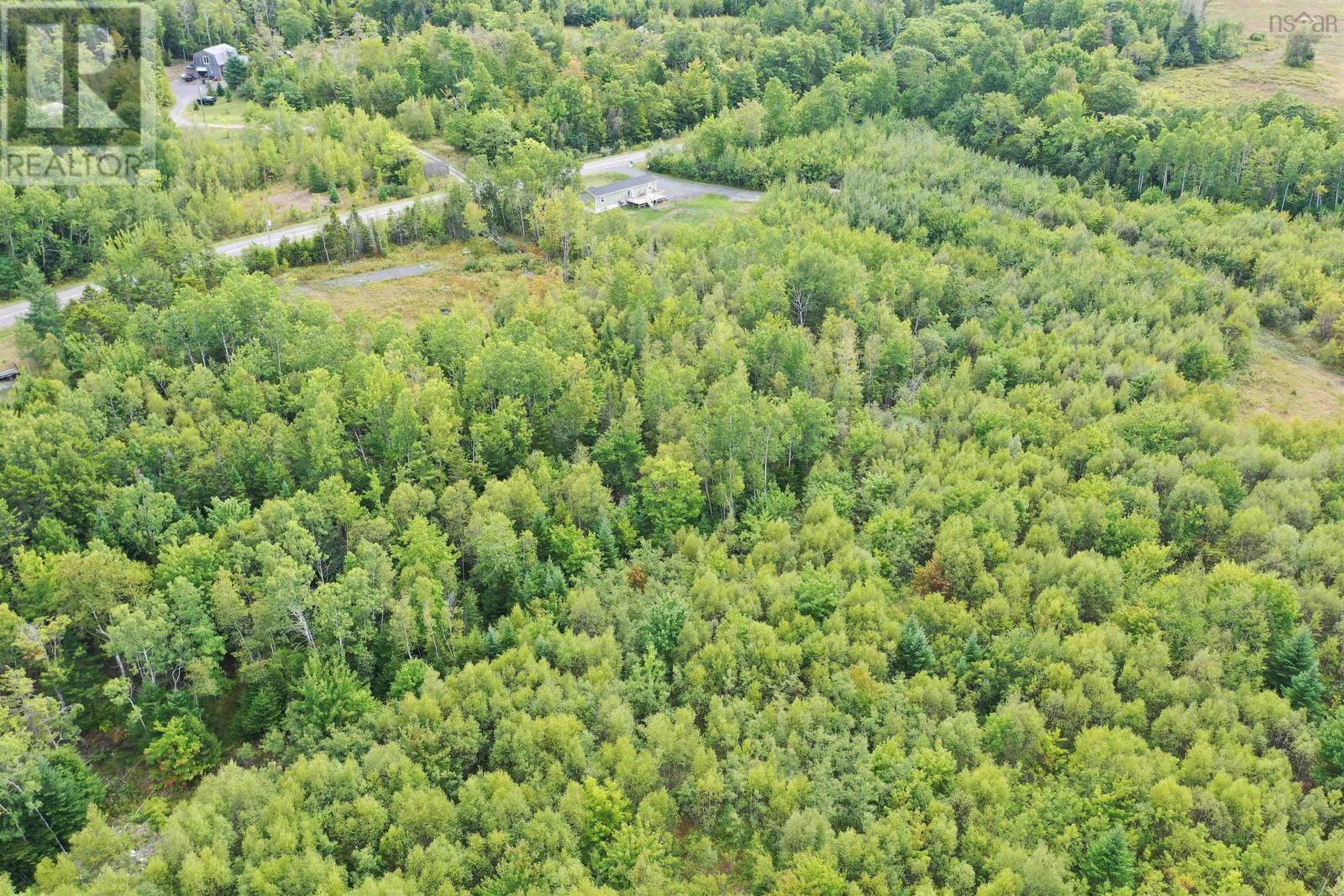 Lot 19 Acres+- Wallace Road Property Photo 1