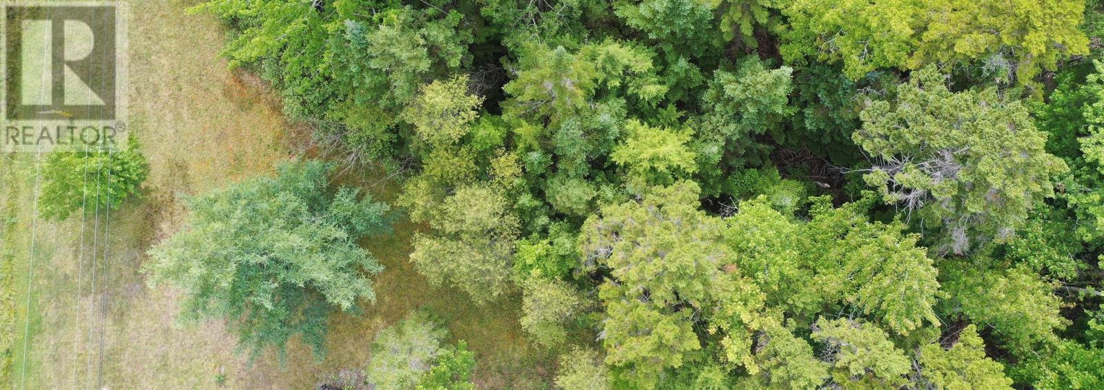 Lot 19 Acres+- Wallace Road Property Photo 7