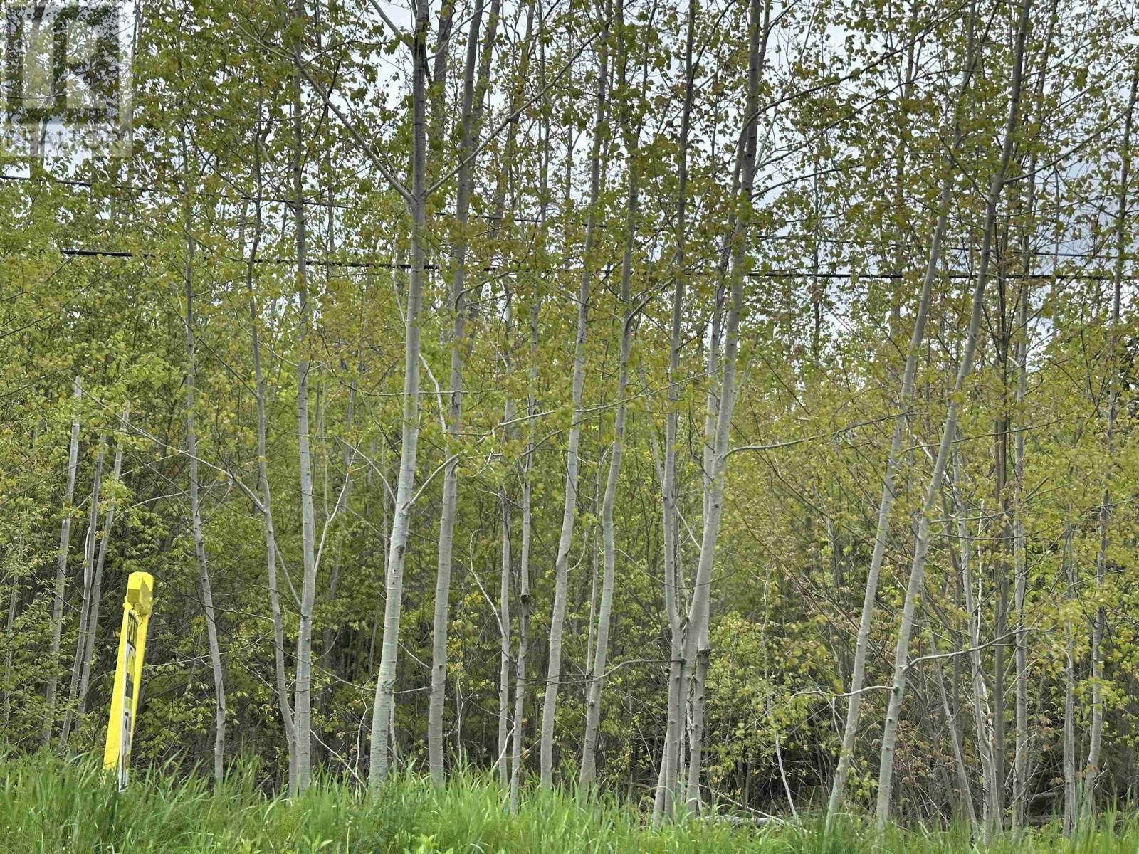 Lot 19 Acres+- Wallace Road Property Photo 12