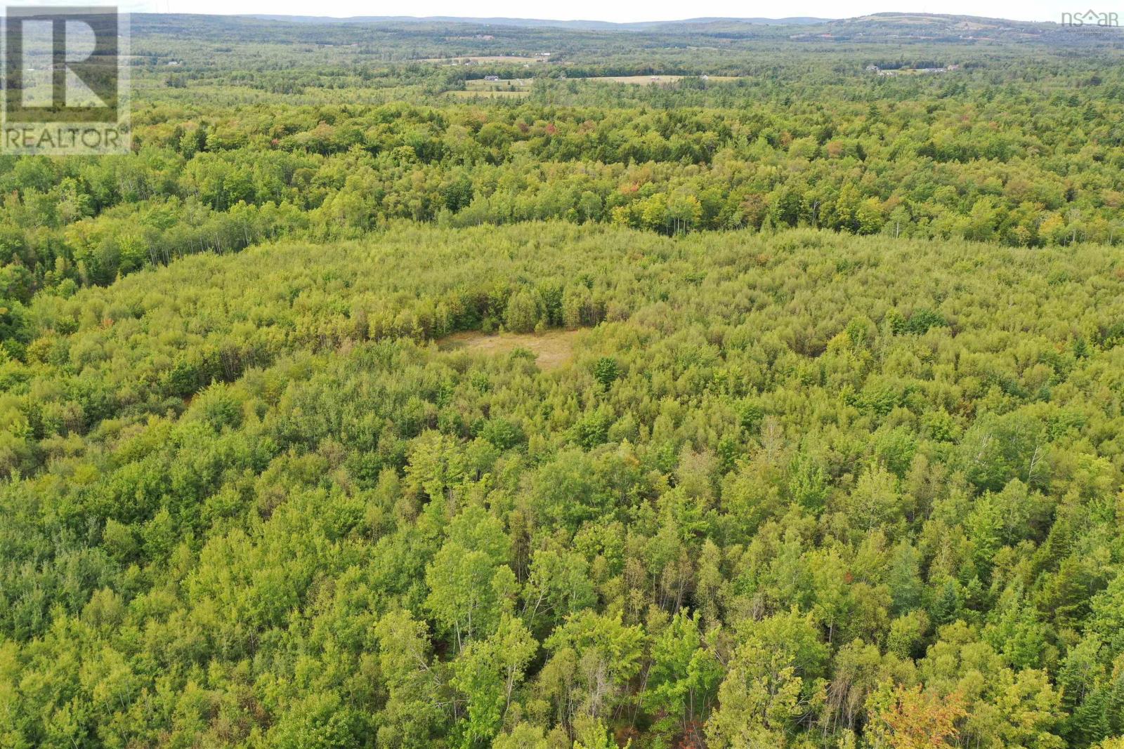 Lot 19 Acres+- Wallace Road Property Photo 14
