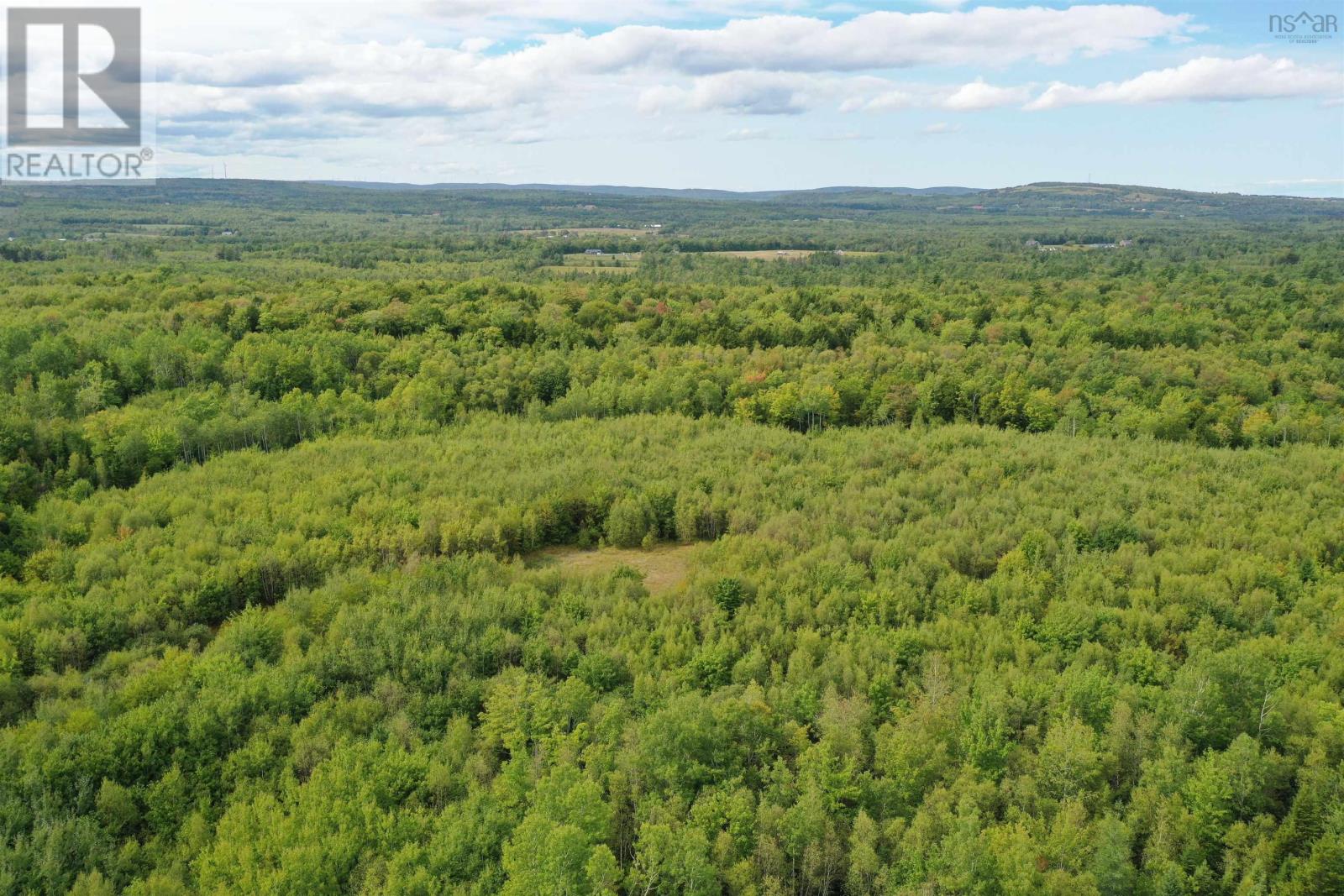Lot 19 Acres+- Wallace Road Property Photo 16