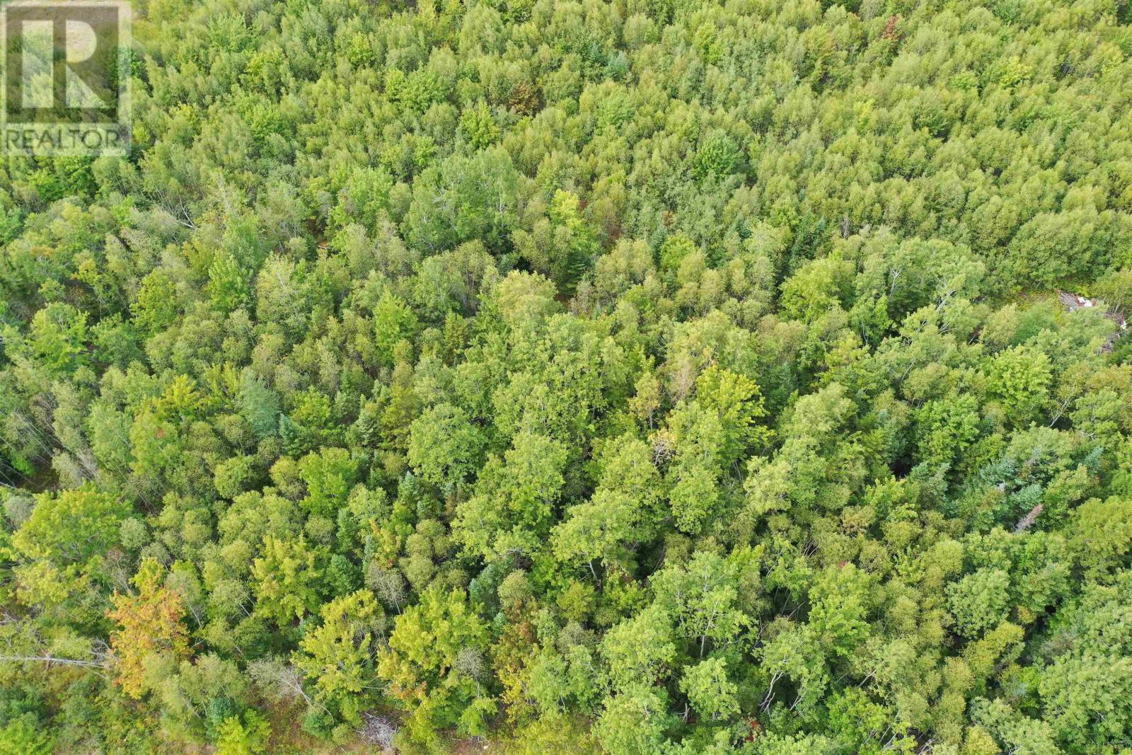Lot 19 Acres+- Wallace Road Property Photo 17