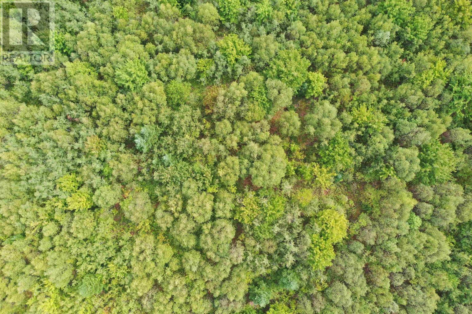 Lot 19 Acres+- Wallace Road Property Photo 18