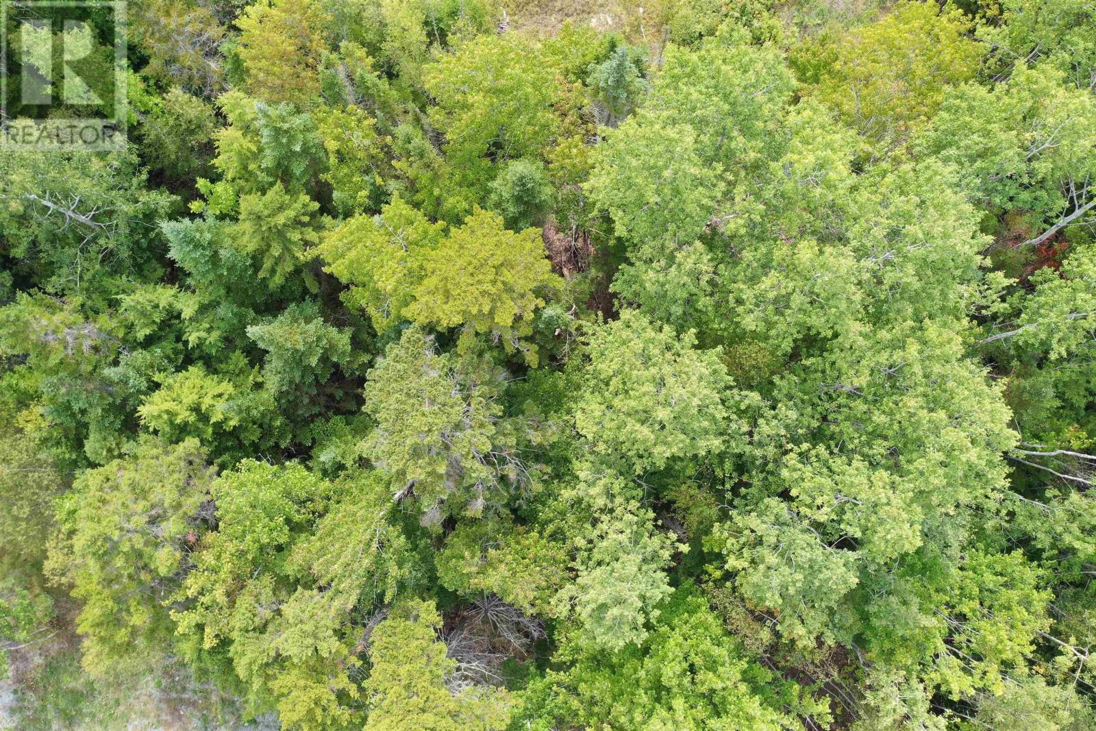 Lot 19 Acres+- Wallace Road Property Photo 19