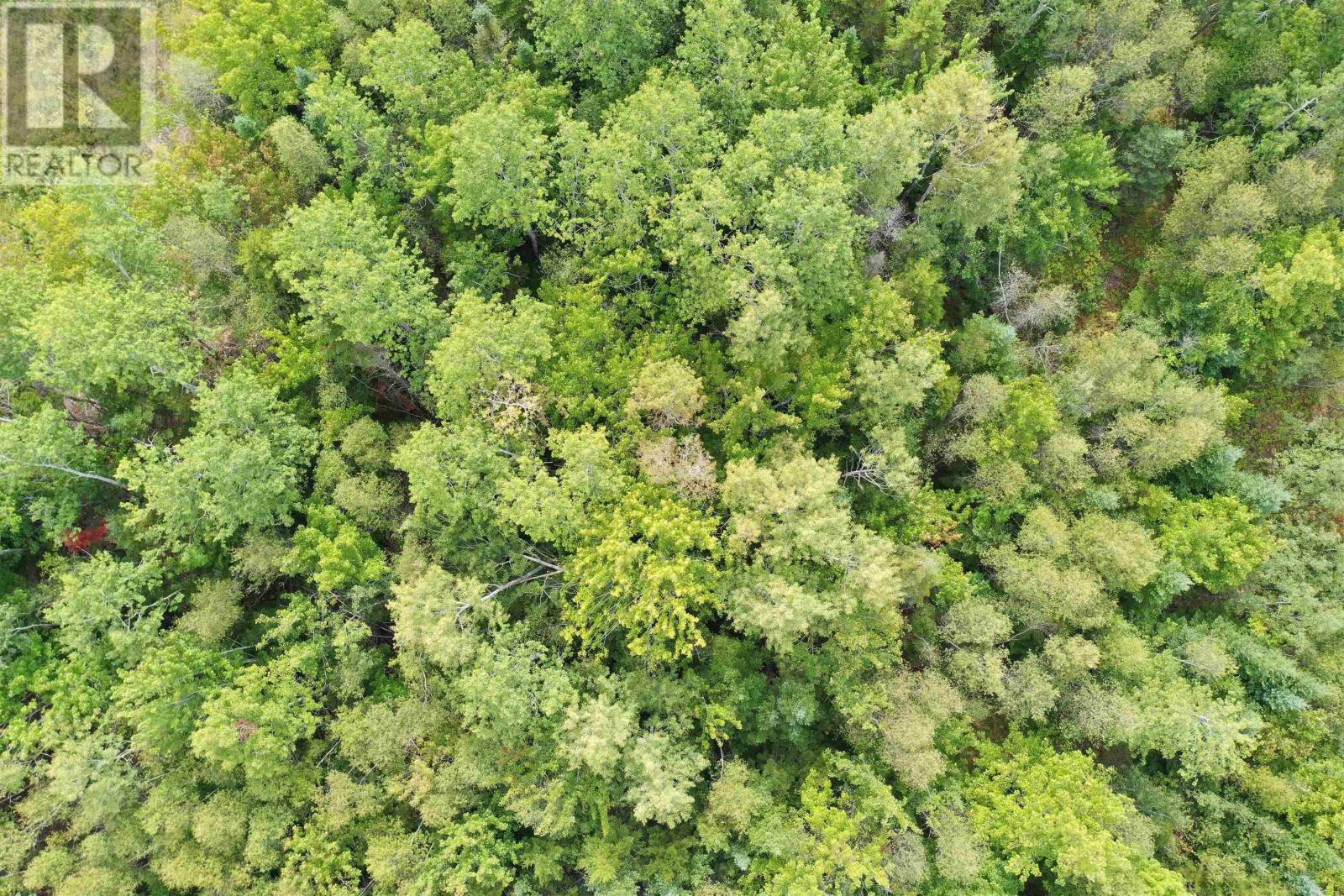 Lot 19 Acres+- Wallace Road Property Photo 20