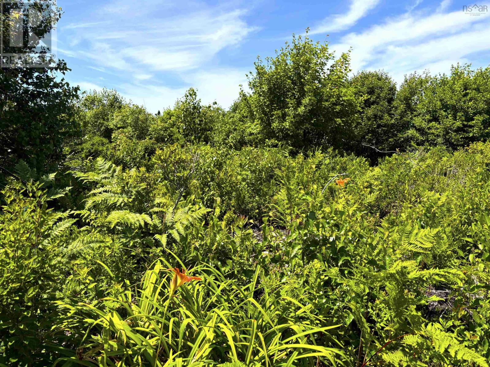 Lot, Highway 308 Property Photo 6