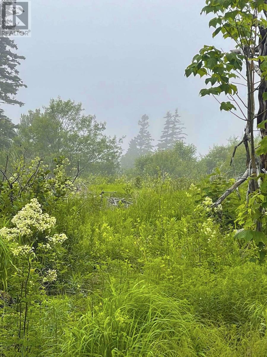 Lot, Highway 308 Property Photo 27