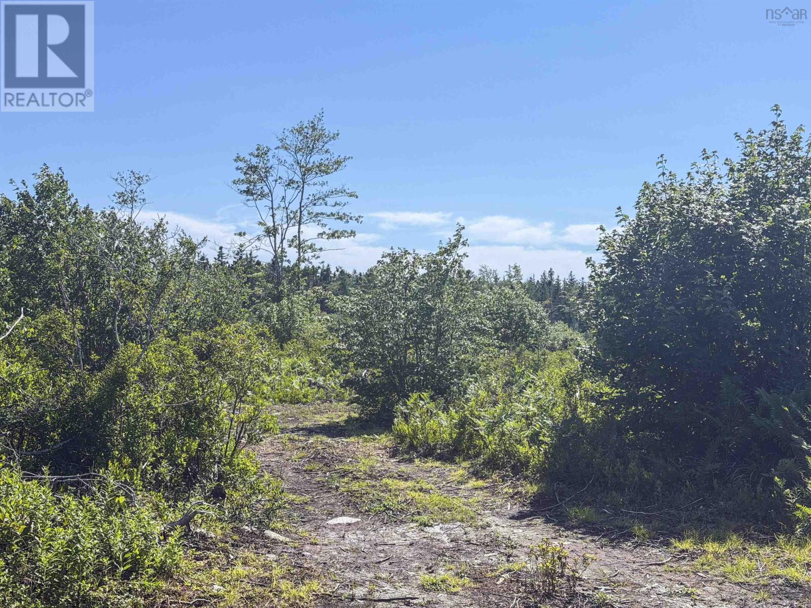 Lot, Highway 308 Property Photo 41