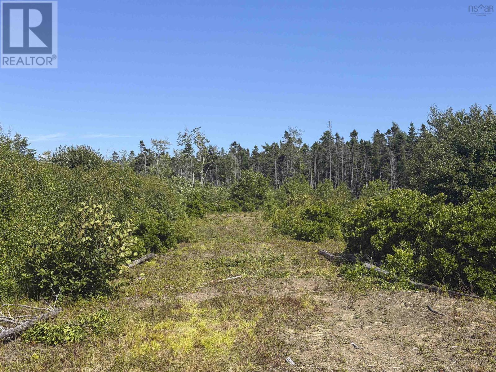 Lot, Highway 308 Property Photo 42