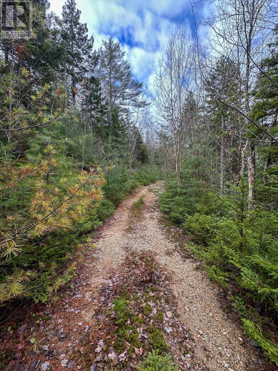 Parcel Rl-1 329 Highway Property Photo 24