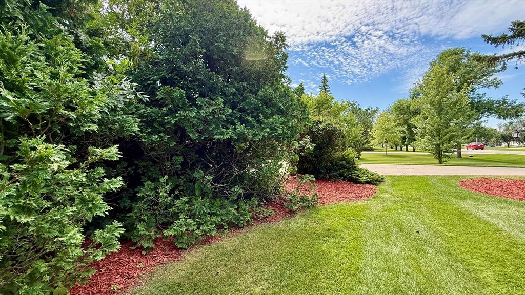 21 Birch Drive Property Photo 34