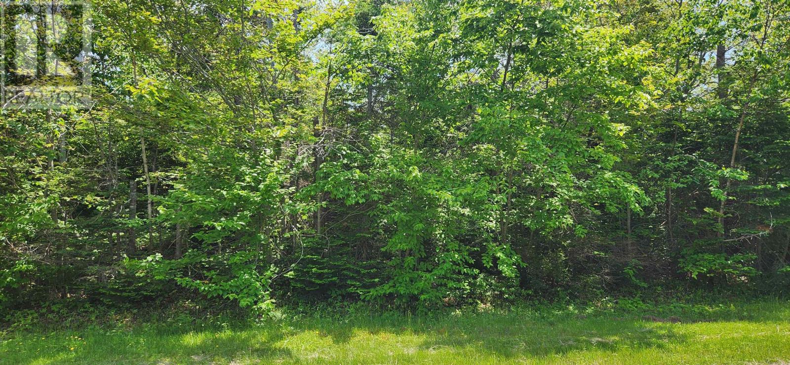 Acreage Greys Road Road Property Photo 1
