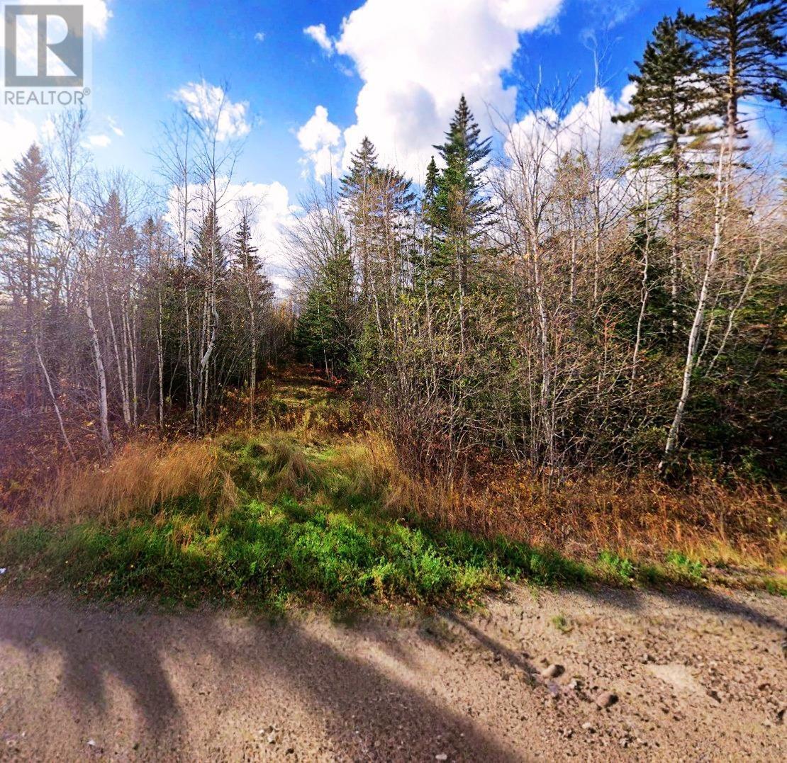 Lot 17 Highway 302 Property Photo 1