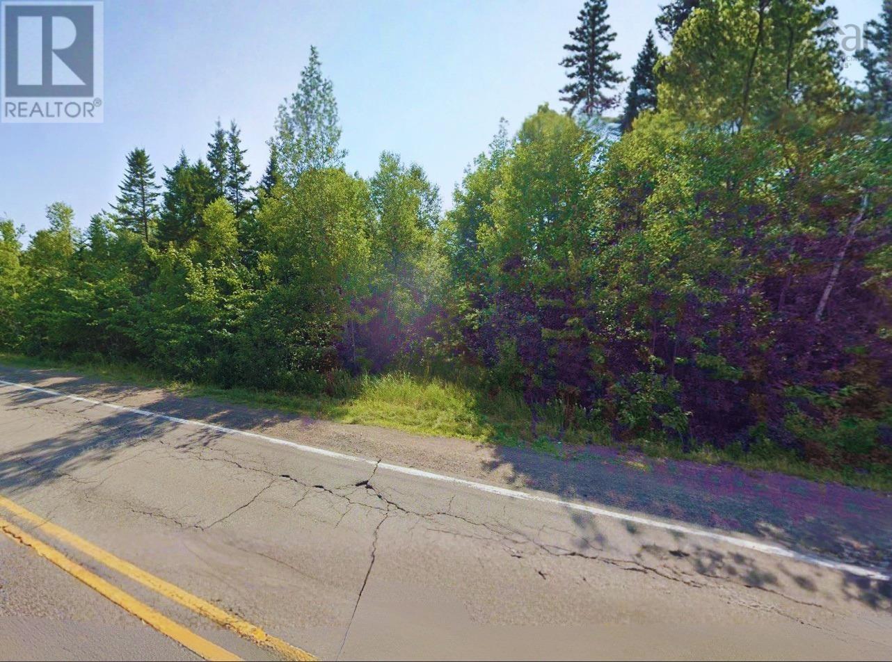 Lot 17 Highway 302 Property Photo 1