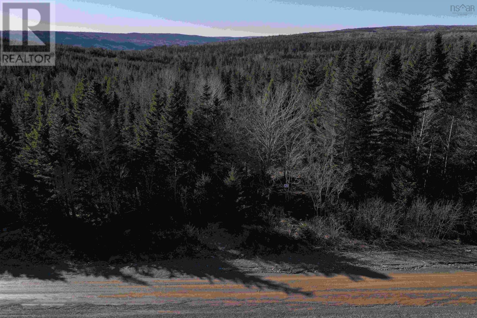 Old Monastery Road Property Photo 6