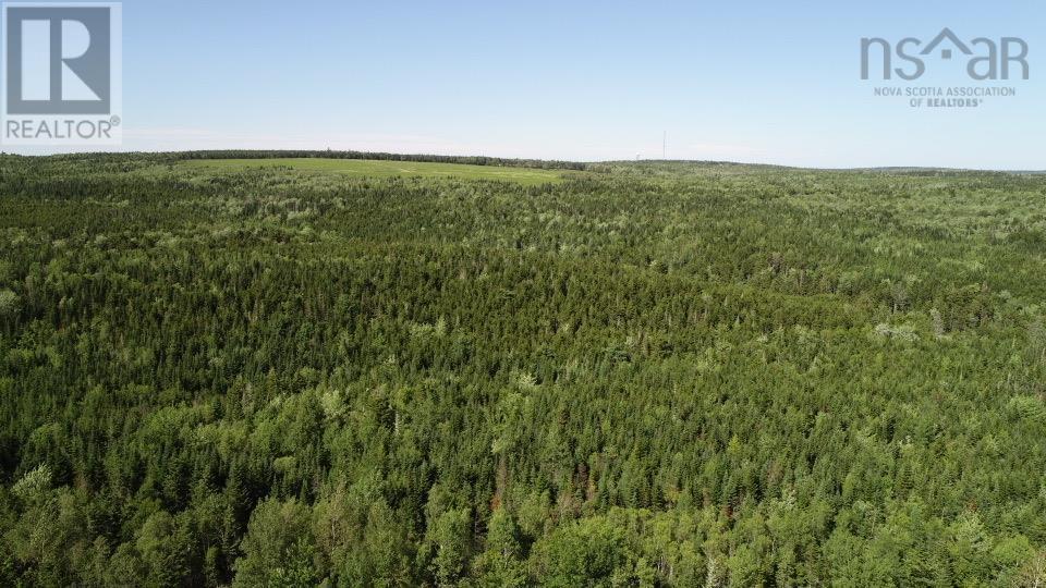 Lot 2 Wilson Road Property Photo 6