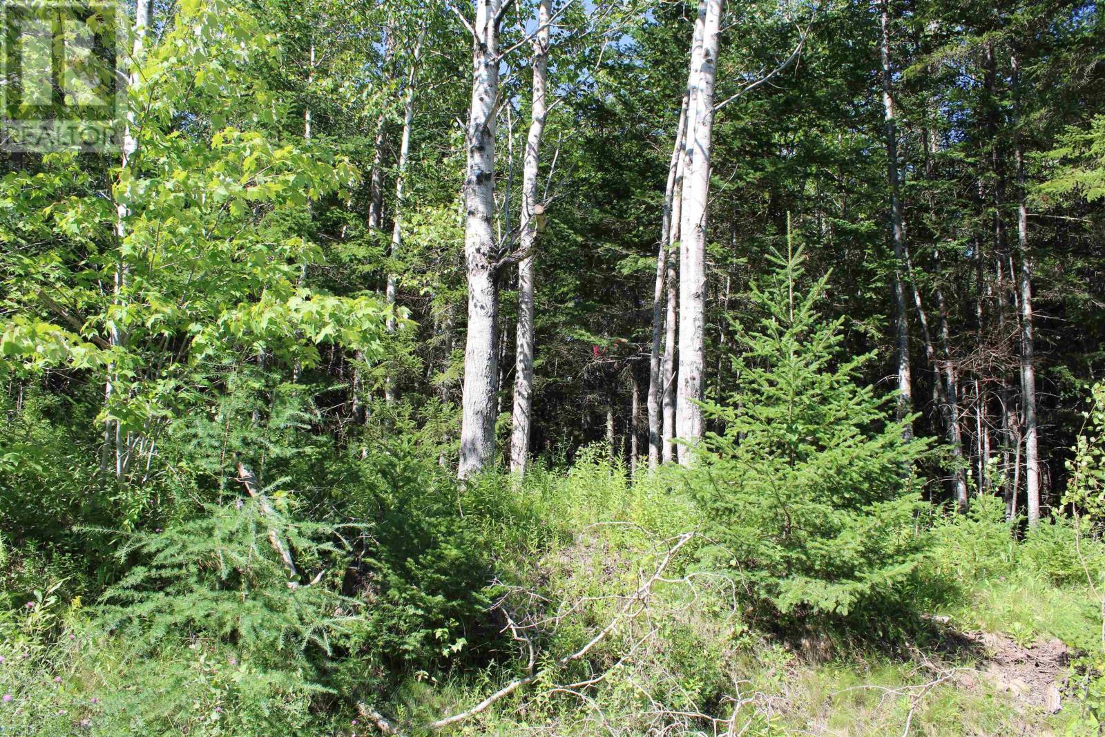 Lot 2 Wilson Road Property Photo 15