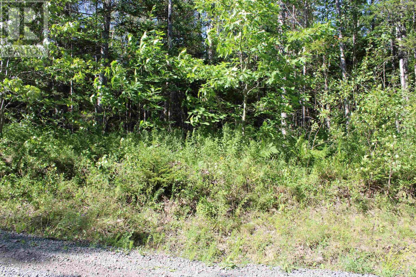 Lot 2 Wilson Road Property Photo 16
