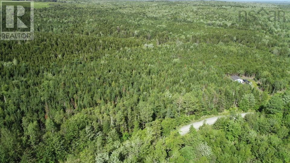 Lot 2 Wilson Road Property Photo 17