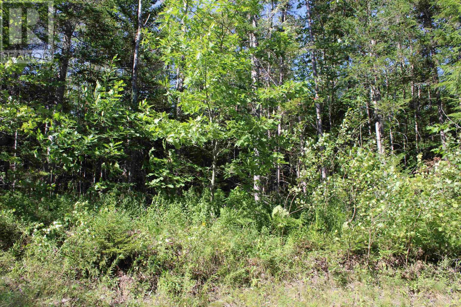 Lot 2 Wilson Road Property Photo 24