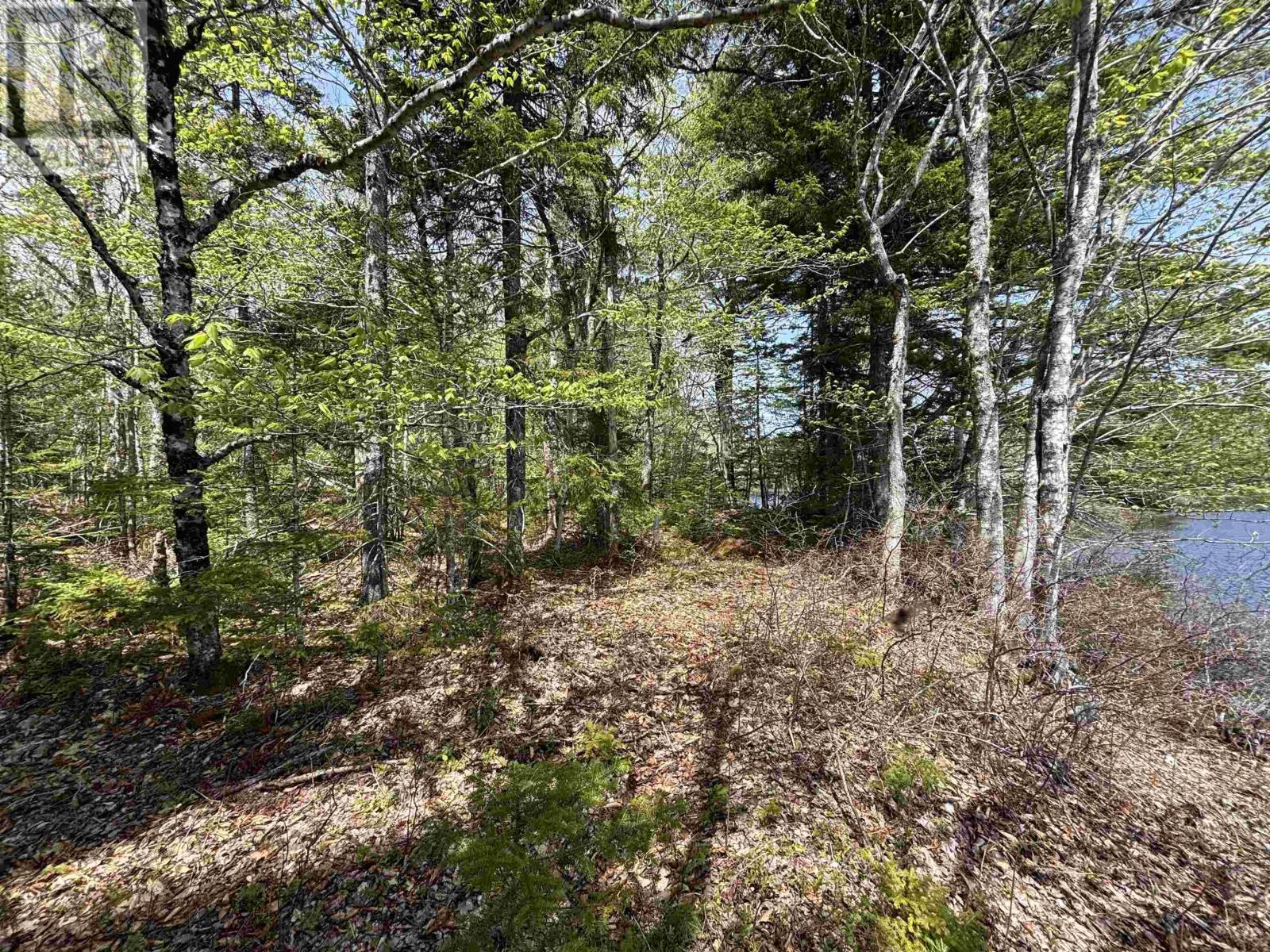 Lot 4-23 Highway 325 Property Photo 9