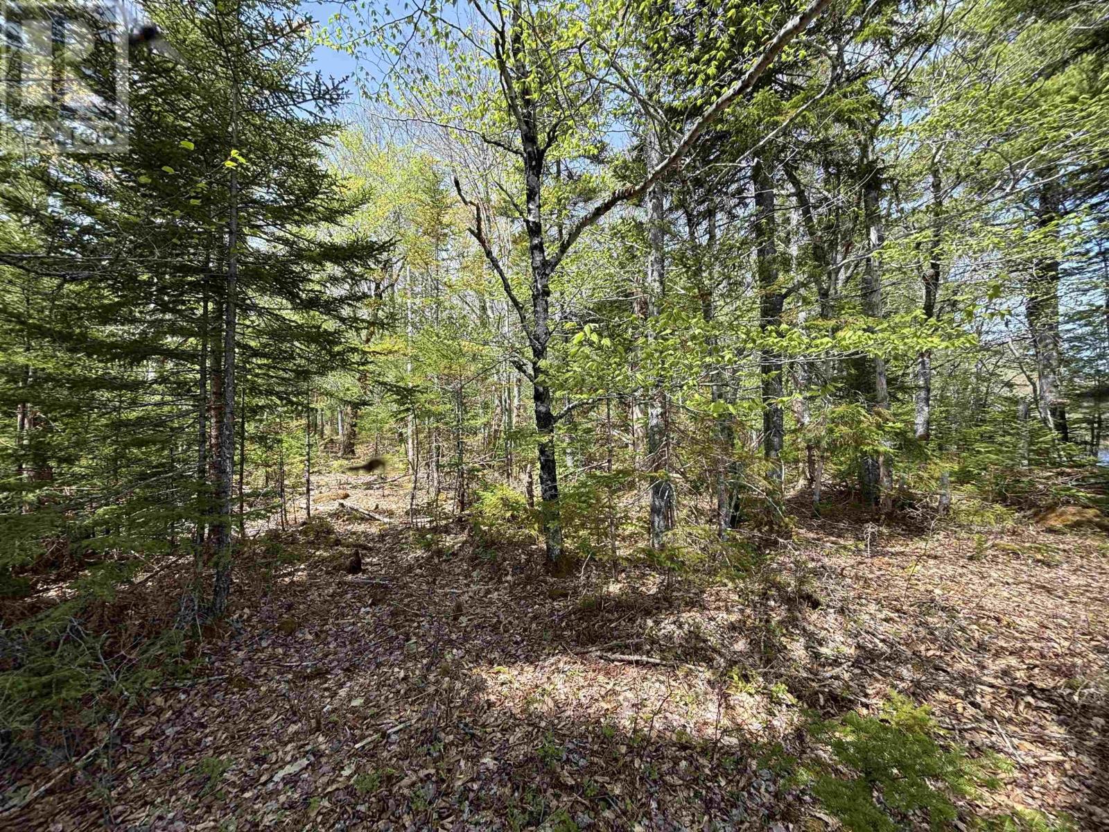 Lot 4-23 Highway 325 Property Photo 10
