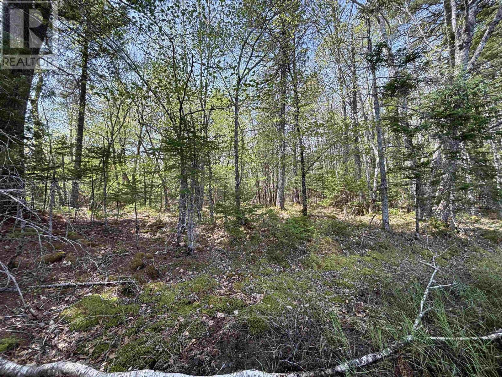 Lot 4-23 Highway 325 Property Photo 11