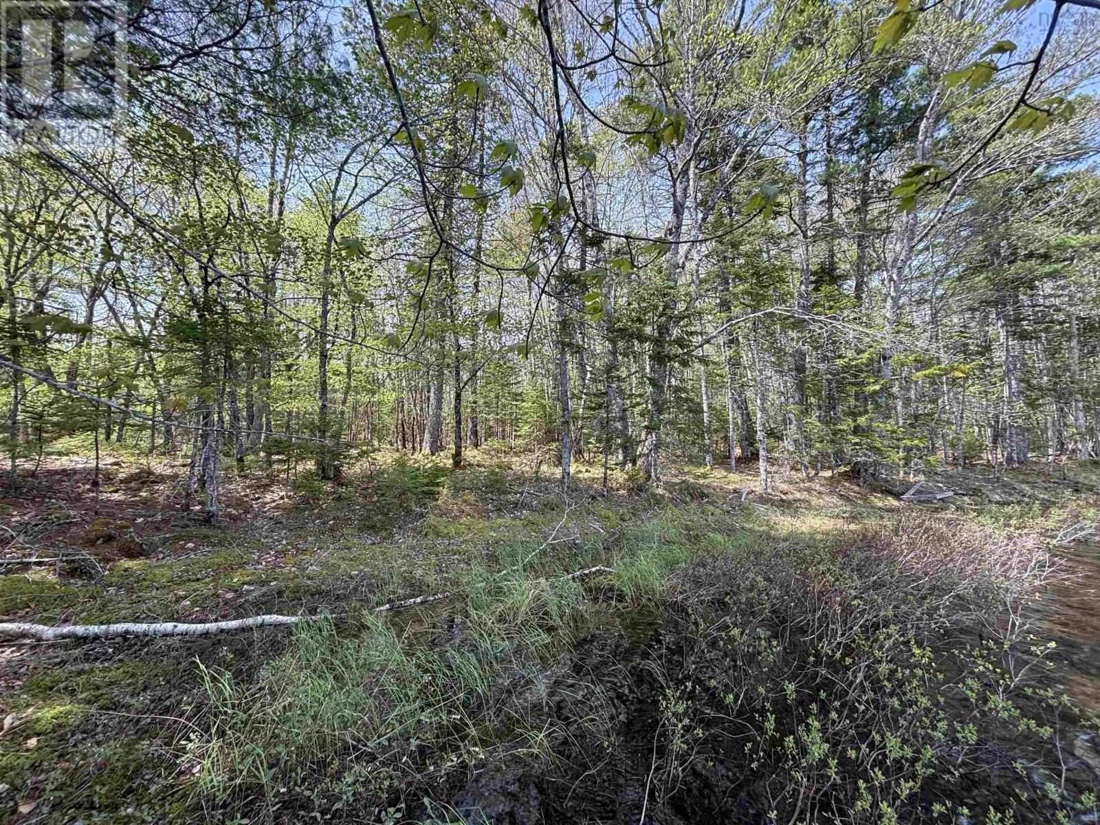 Lot 4-23 Highway 325 Property Photo 12