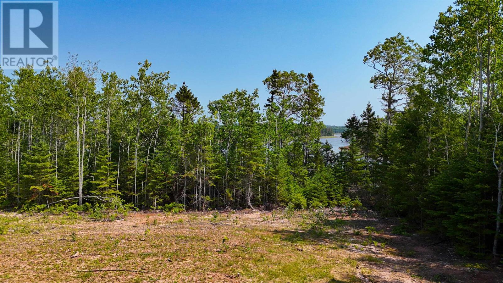 Lot Clays Road Property Photo 8