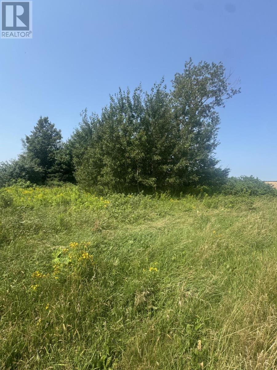 Lot Byrnes Road Property Photo 1