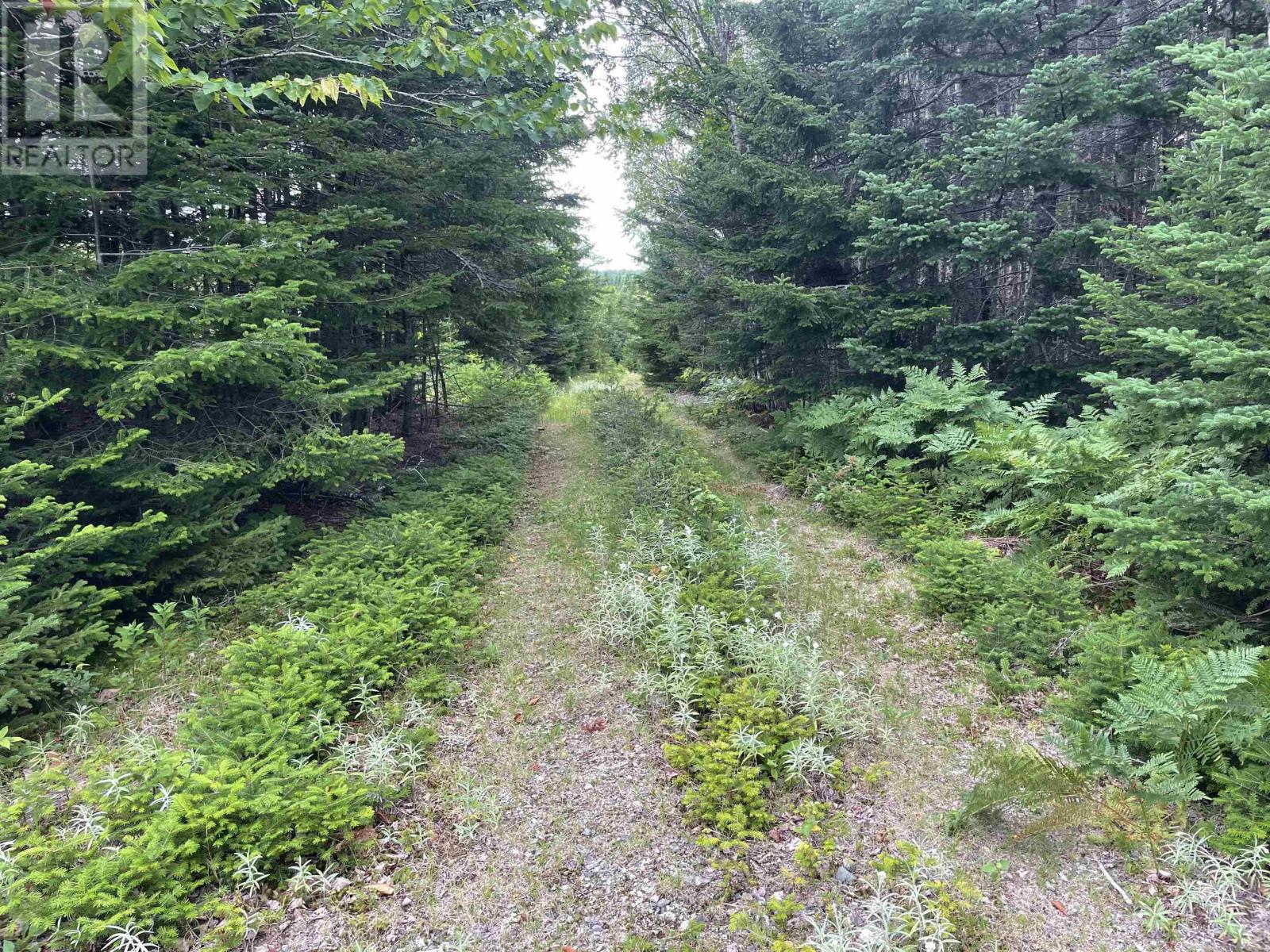 Big Hill Road Property Photo 9