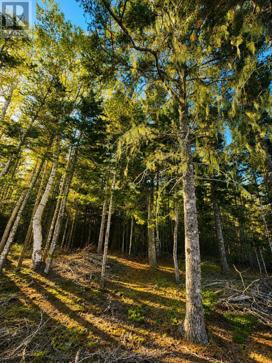 Lot 37 Marble Mountain Road, Redbird Drive Property Photo 13