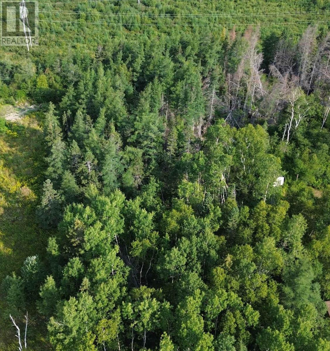 Lingan Road Property Photo 4