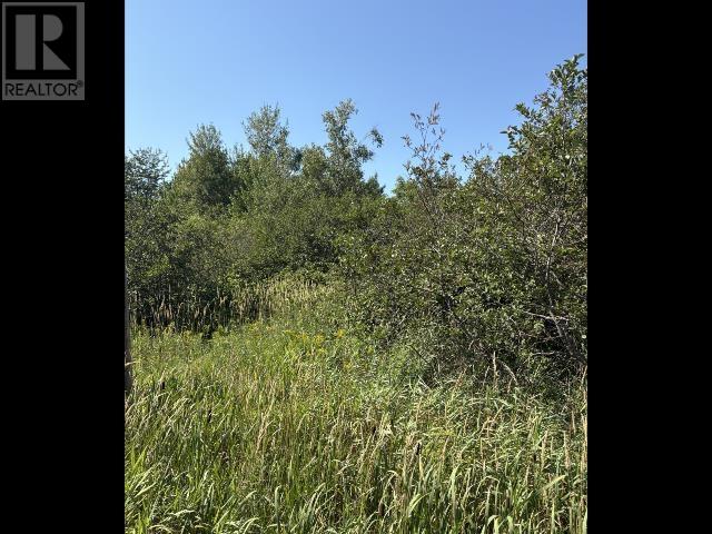 O'leary Road Property Photo 4