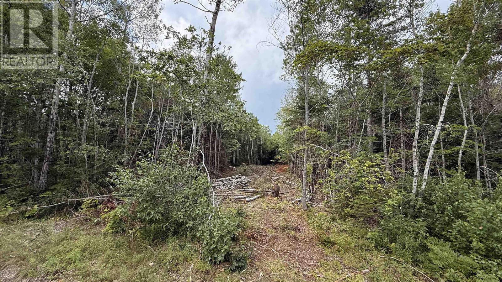 Lot S-2 Miner Meadow Road Property Photo 1