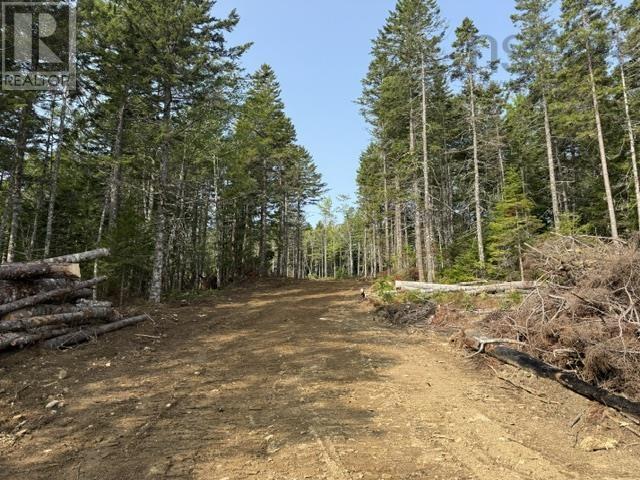 Lot 12 Island View Drive Property Photo 2