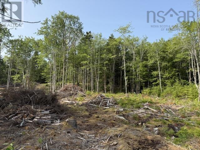 Lot 12 Island View Drive Property Photo 7